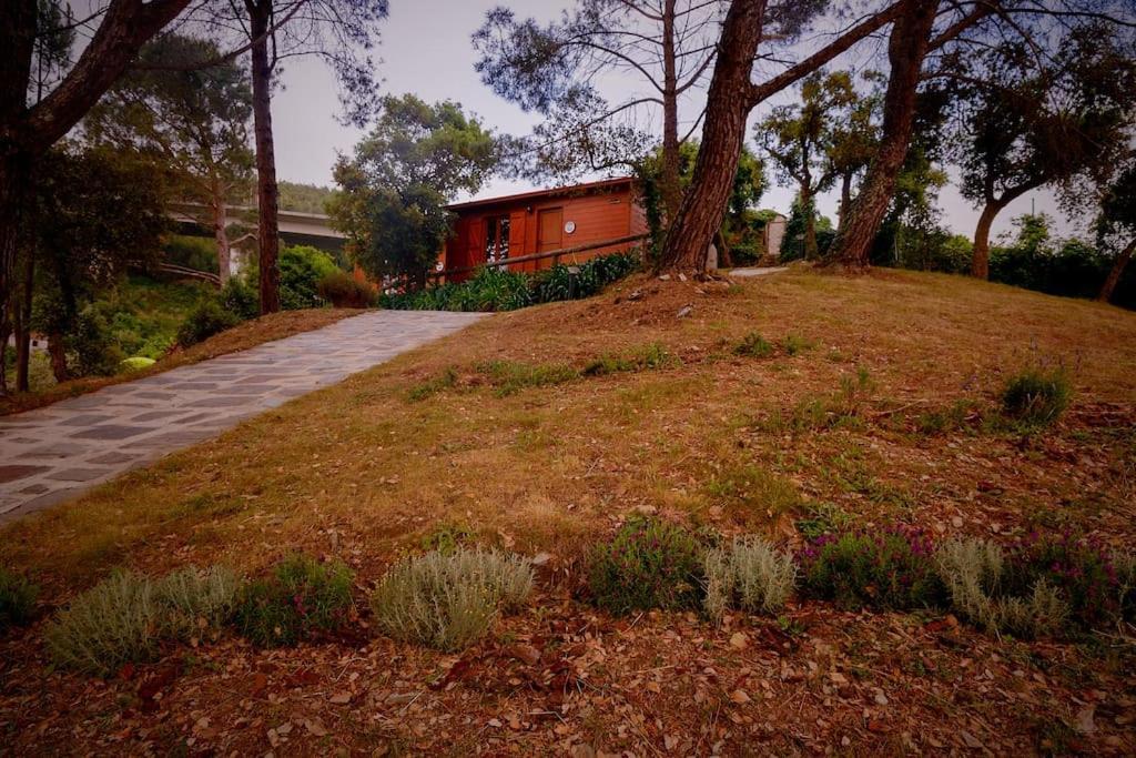 Country house Arrabia Bunga Payva